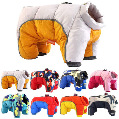 Winter Jackets For Pet Dogs