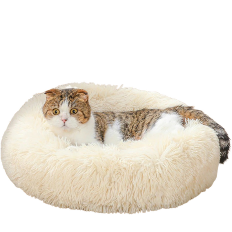 Super Soft Pet Plush Bed