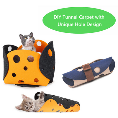 Cat's Interactive Tunnel