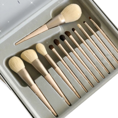 Makeup Brushes (Set Of 12 )
