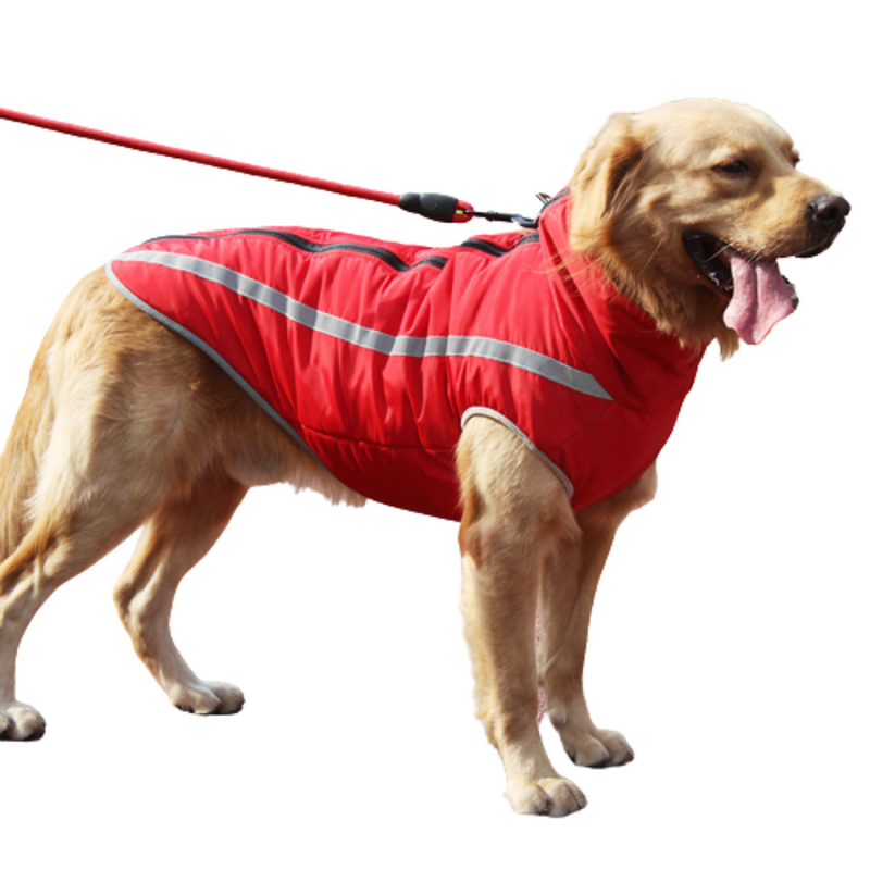 Winter Jackets For Dogs